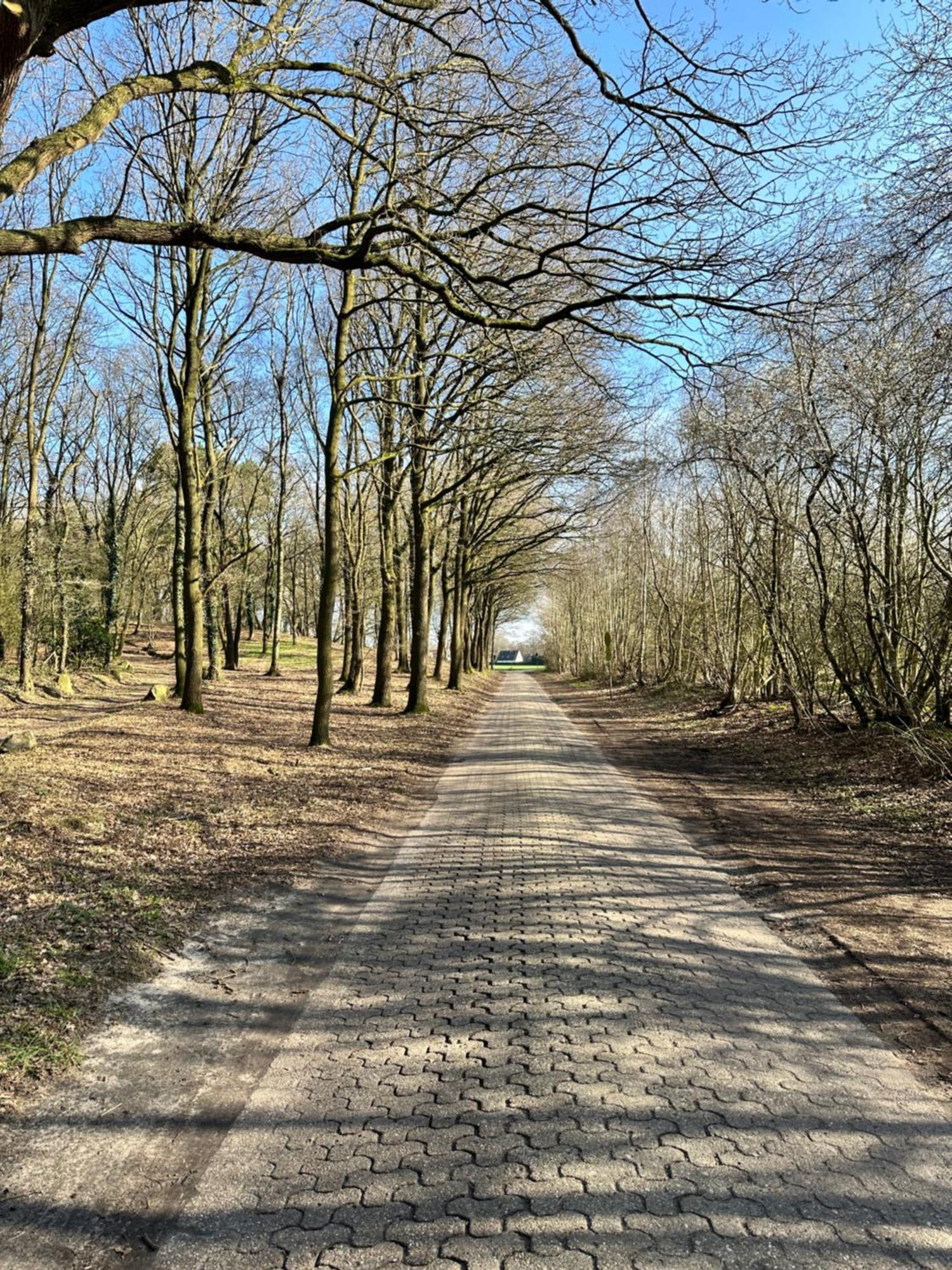 Fewo Am Tillysee In Wardenburg Kültér fotó